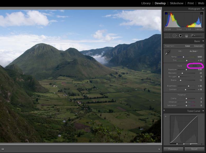 Example of using Graduated Filter in Adobe Lightroom: Auto Tone